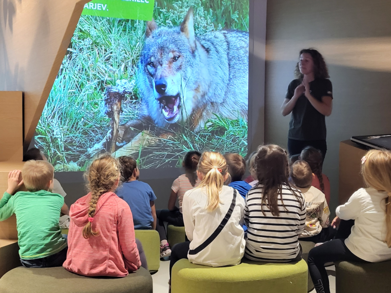 Vpis v OŠ Ilirska Bistrica