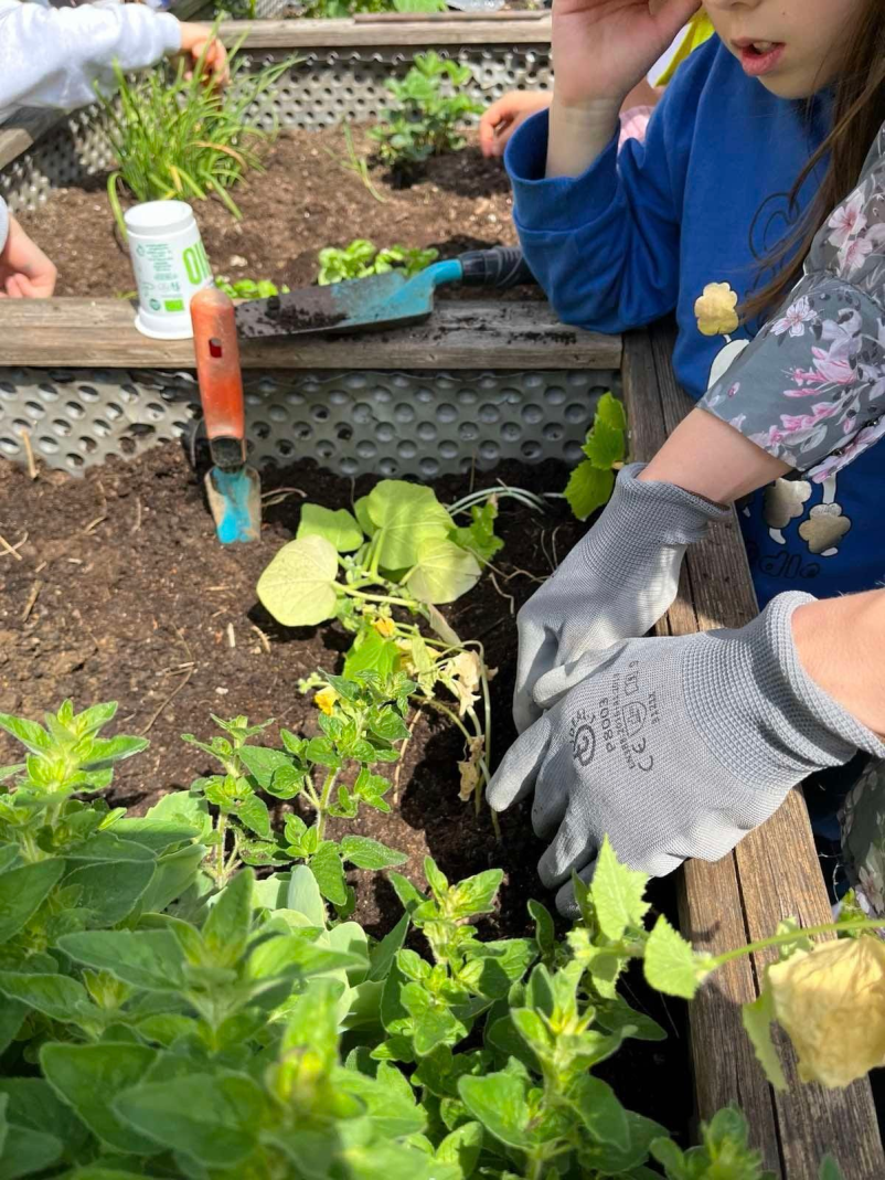 Vpis v Osnovno šolo Venclja Perka