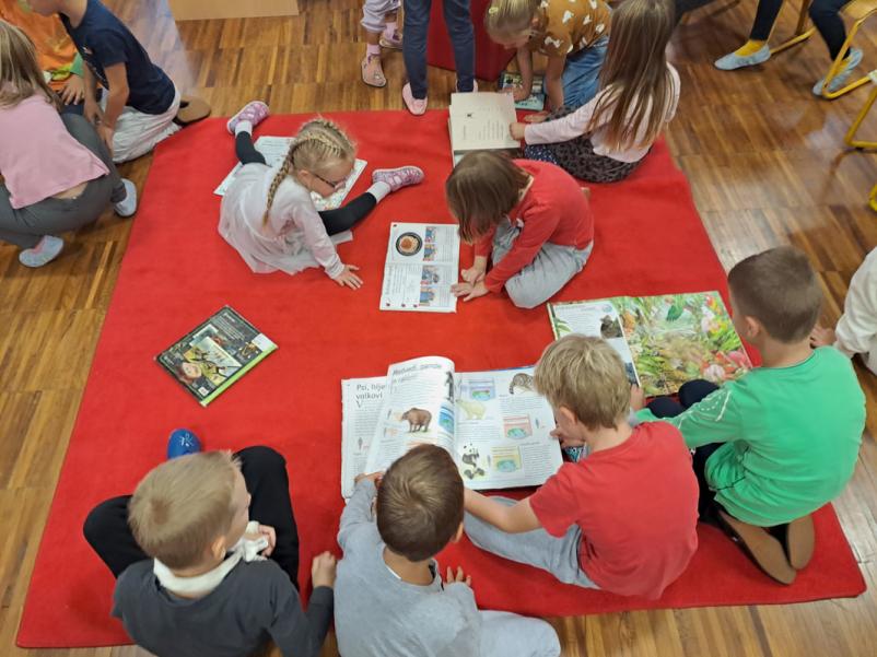 Izobraževanje na Osnovni šoli Kašelj