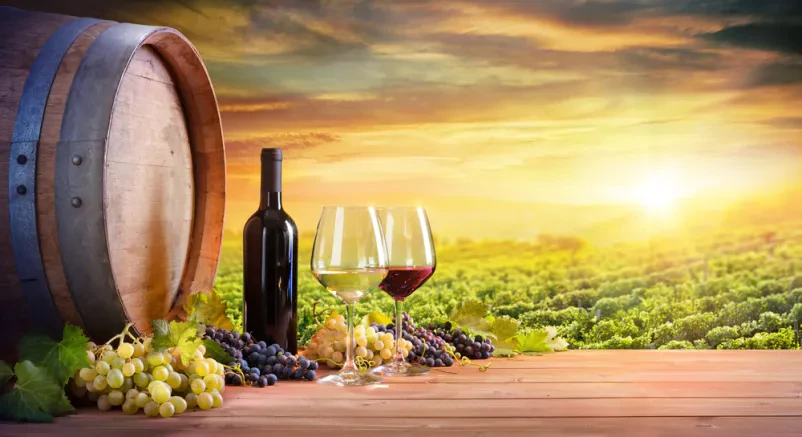 Prodaja vin