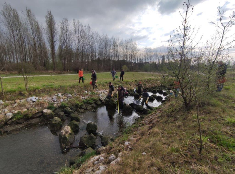 Ribiška dovolilnica Sava