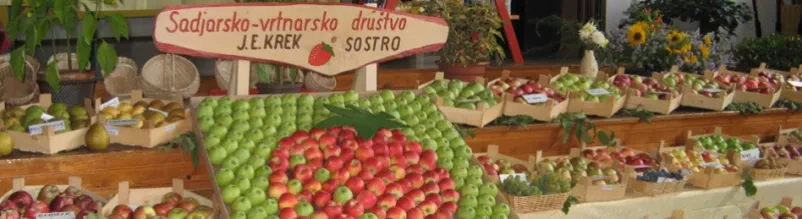 Sadjarsko društvo