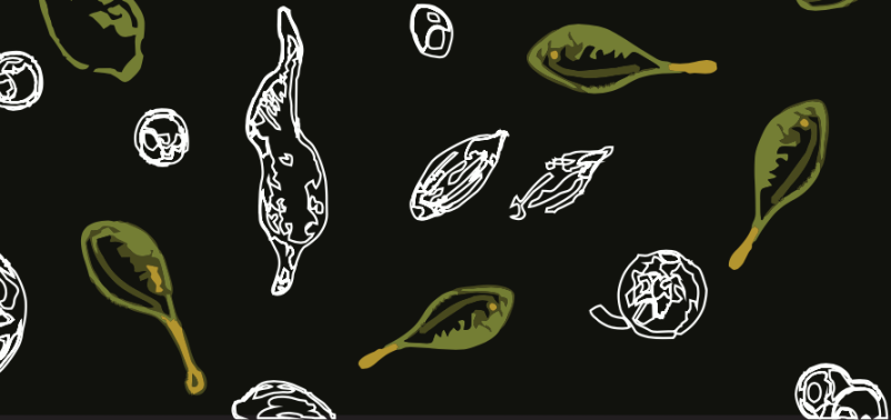 Dobre školjke in škampi