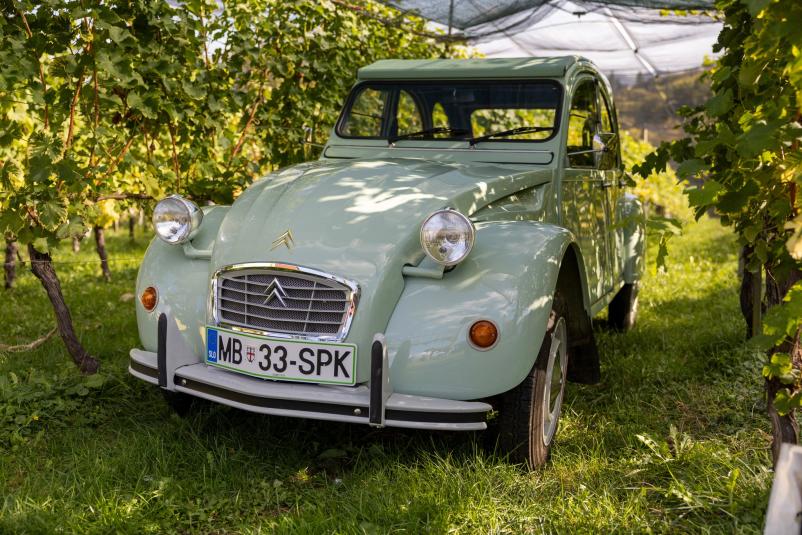 Vpis v Klub Starododobnik Slovenske gorice