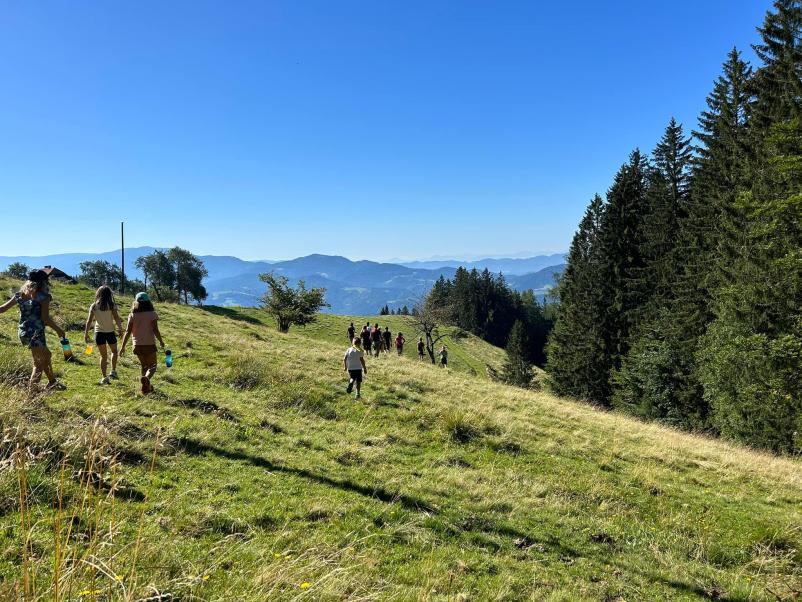 Vpis v društvo tabornikov Koroška