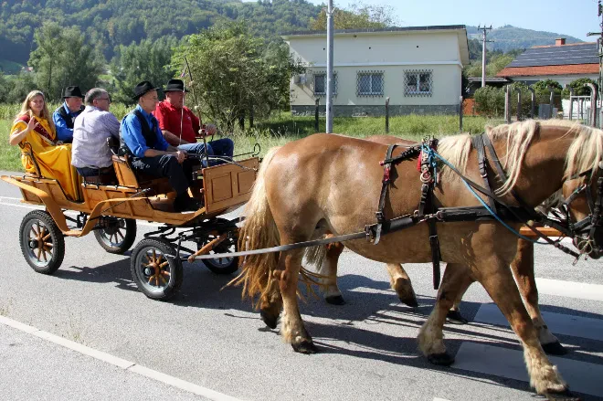 Fantje z Žusma