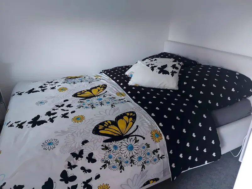 Najbolj ugoden apartma Dobrna