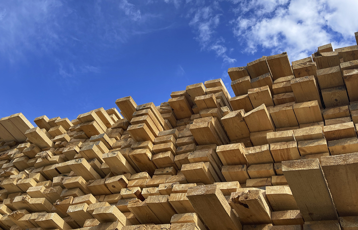 Žagan les Osrednja Slovenija