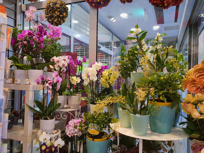 Cvetličarna Bežigrad