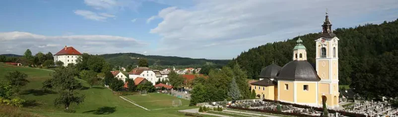 Verska organizacija Dobrova