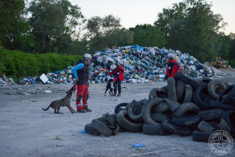 Šola za vodnike in reševalne pse