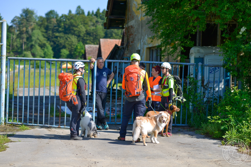 Šola za reševalne pse