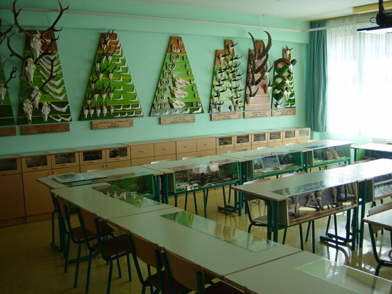 Interesne dejavnosti OŠ Most na Soči