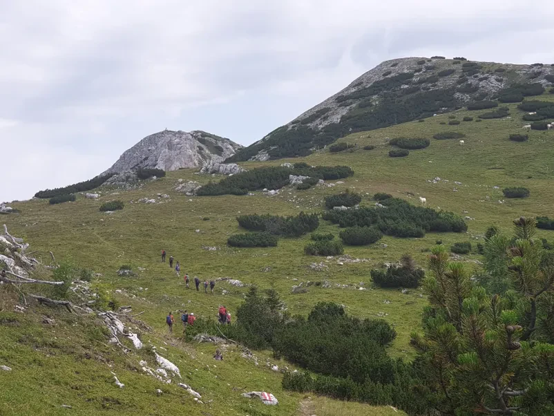 Planinsko društvo Šentrupert