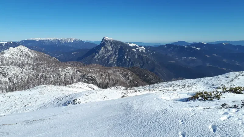 Planinsko društvo Polet