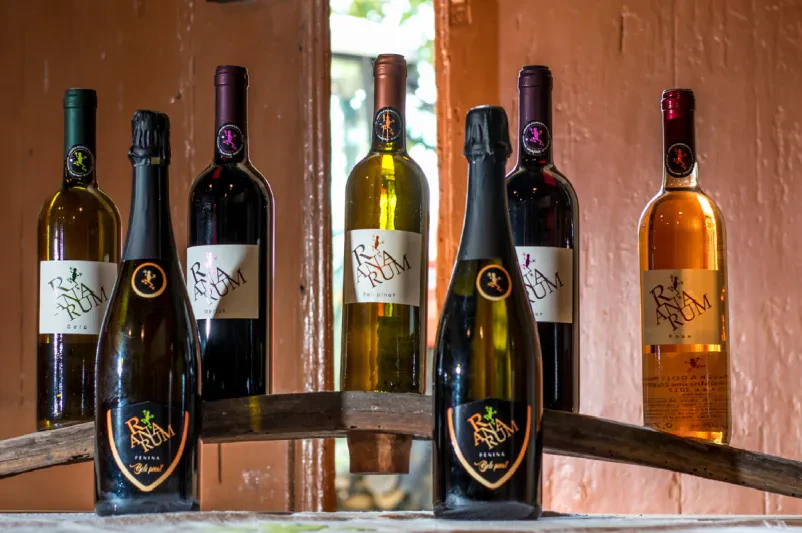 Wine tasting 