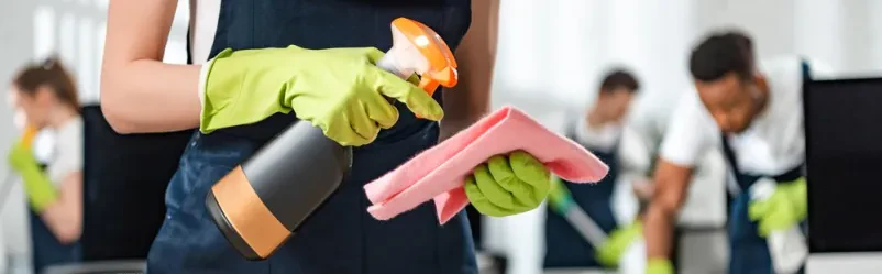 Dober in ugoden čistilni servis Štajerska