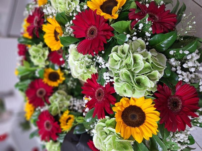 Cvetličarna Markovci, Ptuj