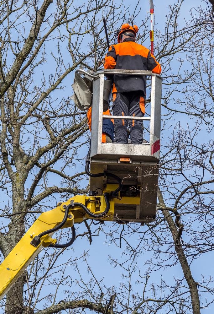 Delo na višini Kranj in Gorenjska