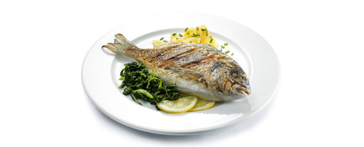 Dobra kosila BTC Ljubljana