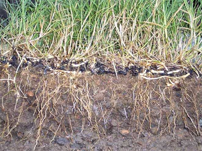 Kvalitetne 3D protierozijske mreže Slovenija