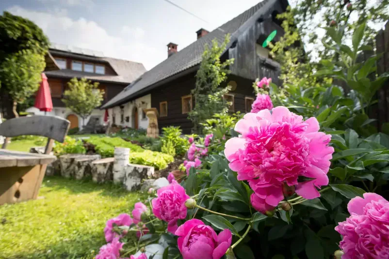 Traditional apartment accommodation Bohinj near Bled
