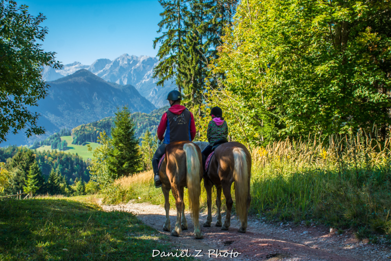 Ježa za otroke Gorenjska