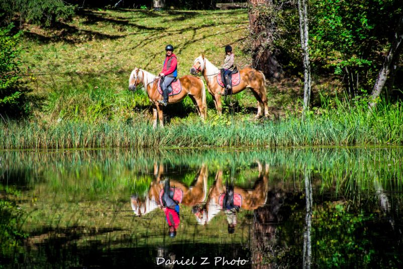 Jahanje konj Planina pod Golico