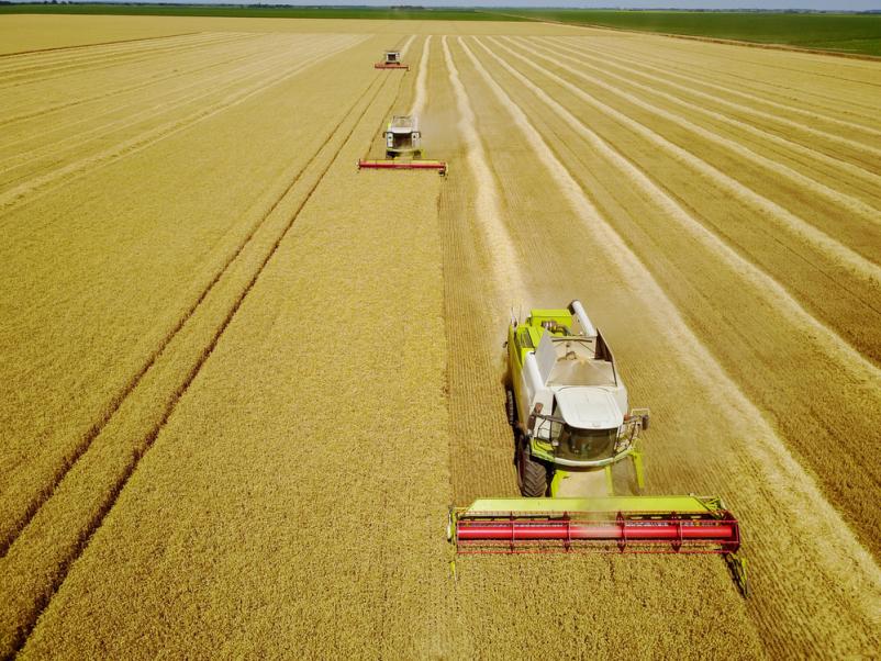 Kmetijstvo Maribor, Podravska