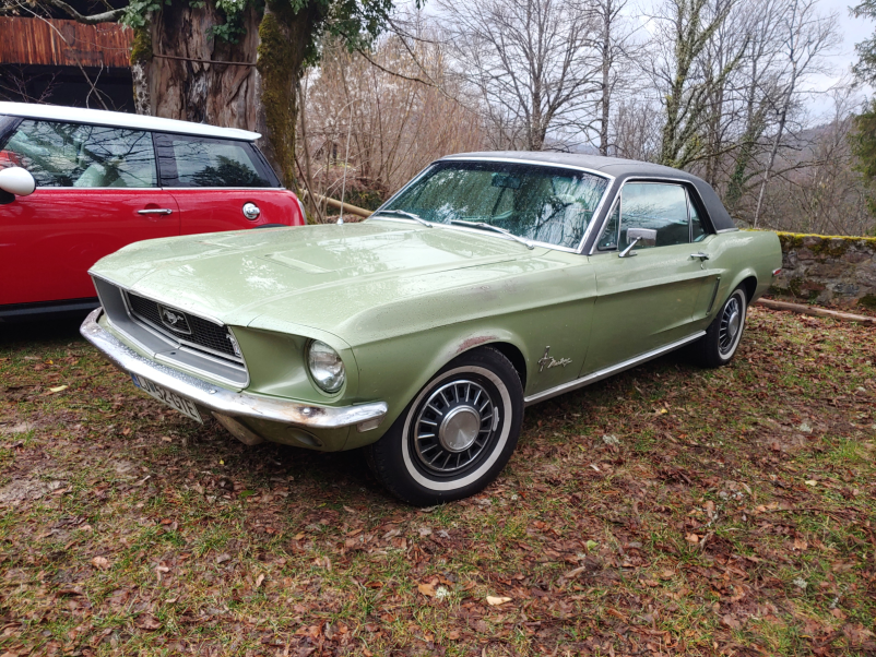 Oldtimerji Škofljica