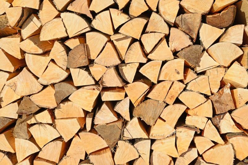 Razrez lesa v Kranju na Gorenjskem zaupajte nam