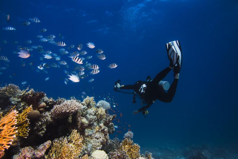 Potapljaški tečaj Bled