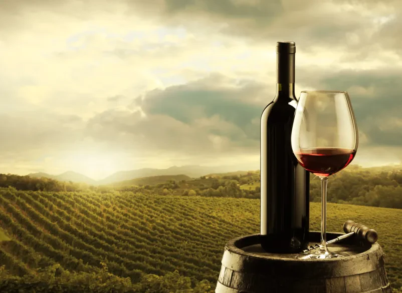 Bottled wines from Goriška
