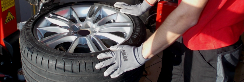 Vzdrževanje vozil Goriška