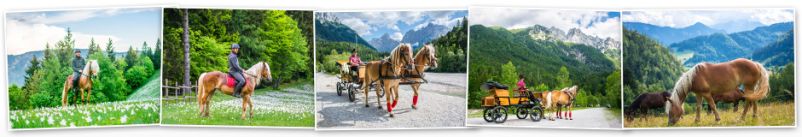 Jahanje v maneži za otroke