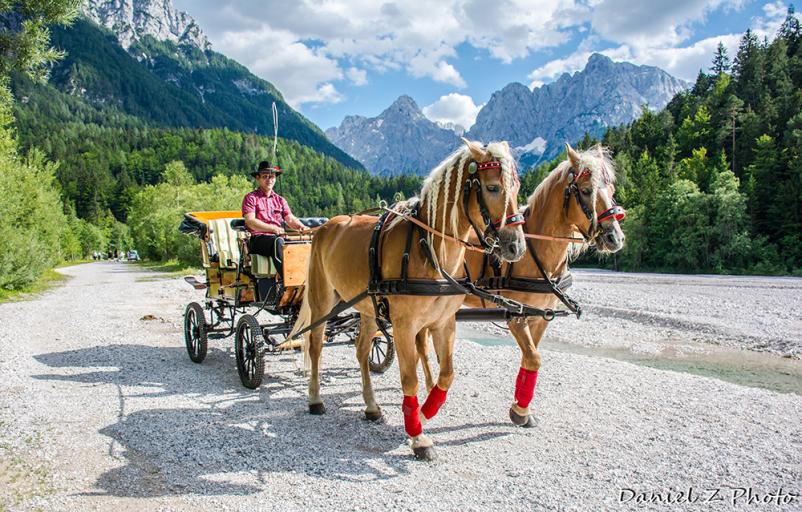 Romantična vožnja s kočijo na Gorenjskem