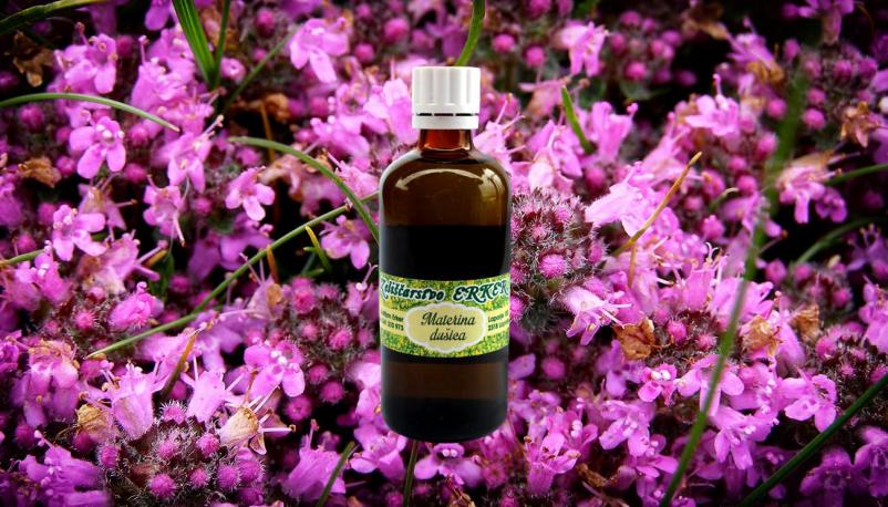   Prodaja zdravilnih zelišč Laporje, Podravje