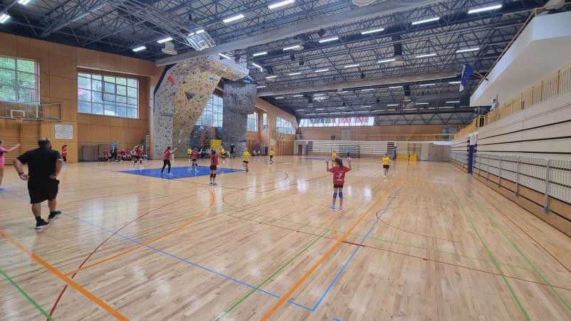 Ženski rokometni klub Millennium