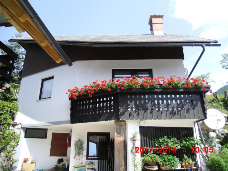 Oddaja apartmaja Bohinjsko jezero