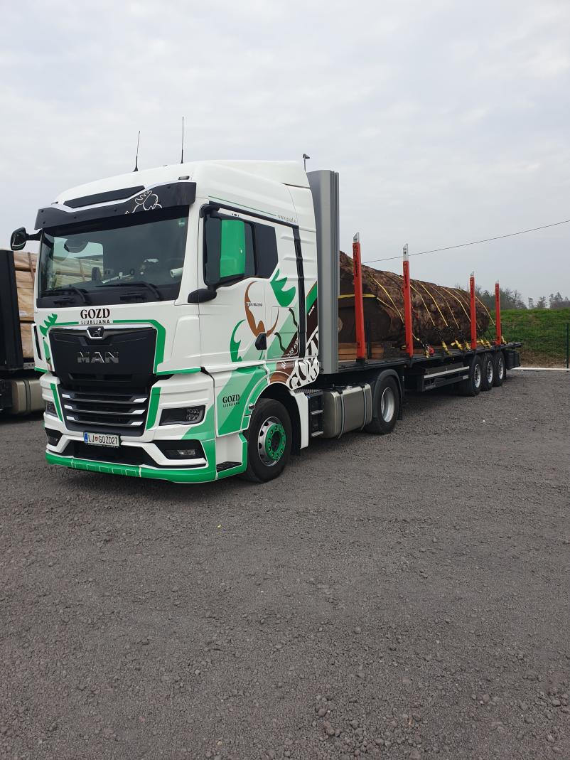 Ugoden nakup in prodaja lesa