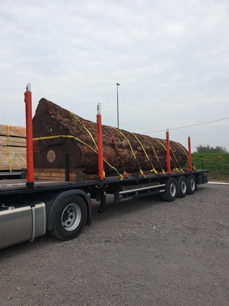 Ugoden nakup in prodaja lesa po Sloveniji