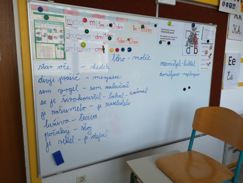 Prilagojen osnovnošolski program Kranj