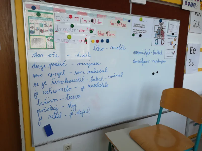 Prilagojen osnovnošolski program Kranj