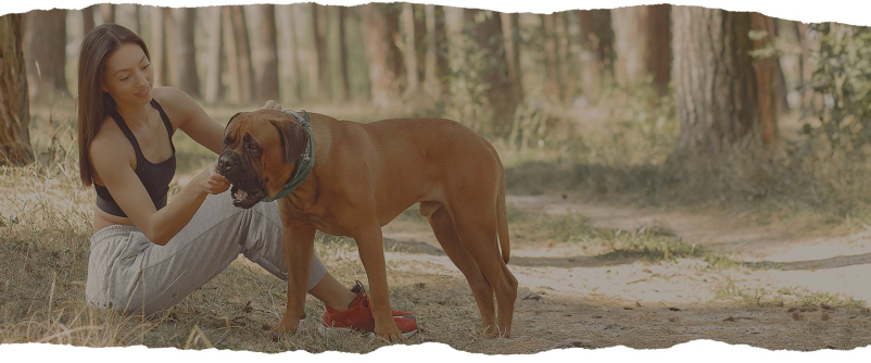 Varstvo psa Dolenjska