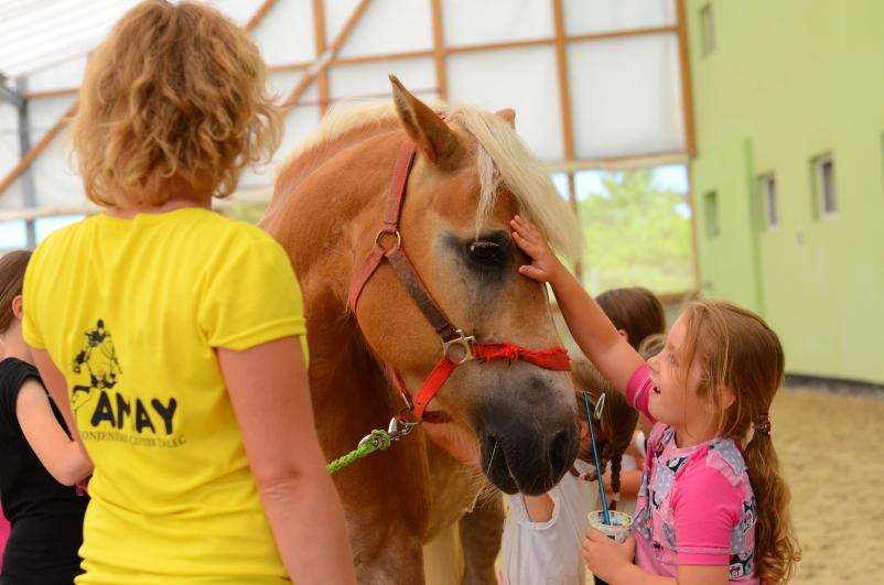 Počitniški tabori s konji Celje na Savinjskem