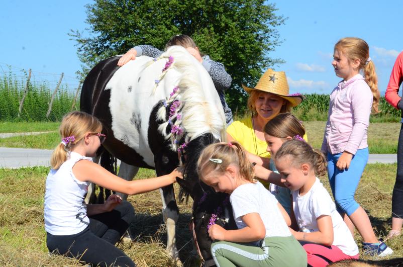 Poletni tabori s konji Celje, Savinjska