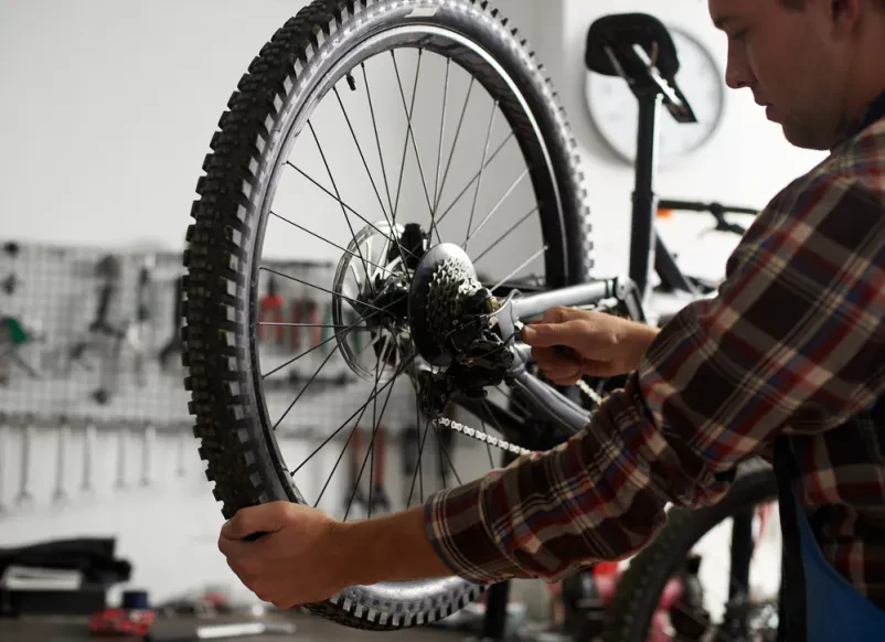 Prodaja in servis znamk Specialized, Cube in Merida koles