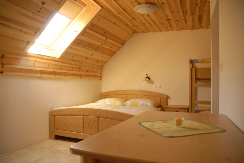 Turistična kmetija v Logarski Dolini