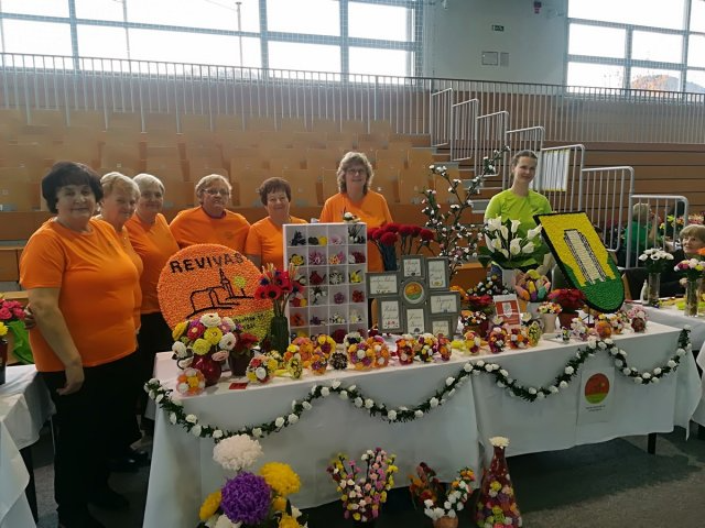 Revivas Škale, Velenje