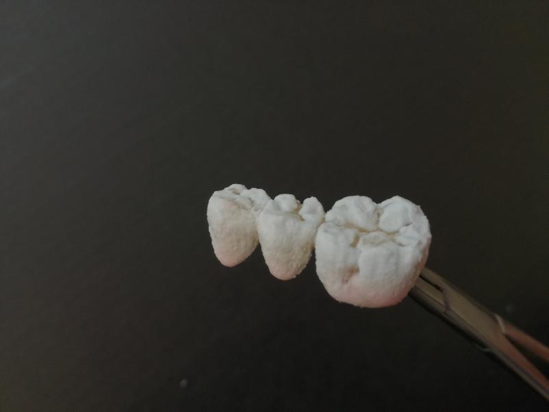 Zobotehnični laboratorij Postojna, Primorska